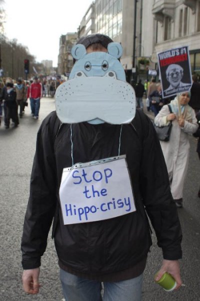 Hippo